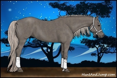 Horse Color:Silver Black Brindle