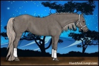 Horse Color:Silver Black Brindle