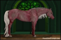 Horse Color:Silver Black and Silver Black