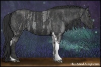 Horse Color:Blue Roan Tobiano  Brindle