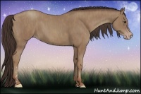 Horse Color:Classic Champagne  Brindle