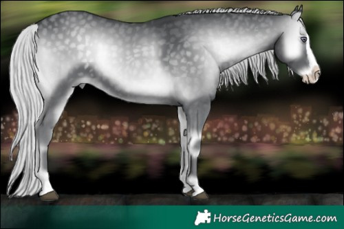 Horse Color:Silver Blue Onyx Chinchilla Splash  Brindle