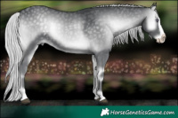 Horse Color:Silver Blue Onyx Chinchilla Splash  Brindle