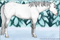 Horse Color:Silver Amber Champagne Chinchilla Dun Splash 