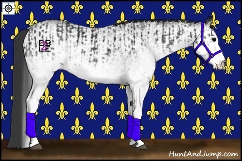 Horse Color:White Spotted Black  and White Spotted Black 