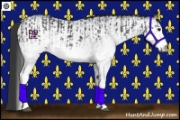 Horse Color:White Spotted Black  and White Spotted Black 