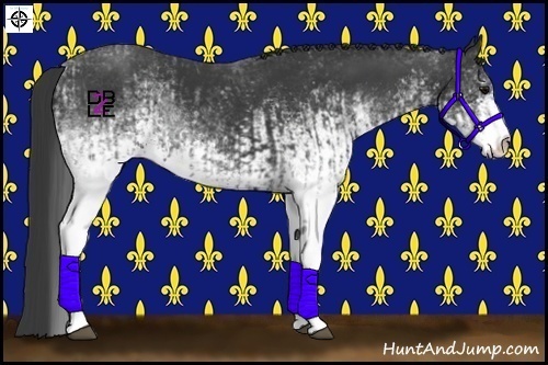 Horse Color:White Spotted Black  and White Spotted Black 