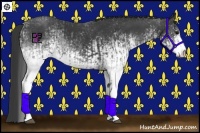 Horse Color:White Spotted Black  and White Spotted Black 