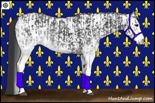Horse Color:White Spotted Black  and White Spotted Black 