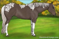 Horse Color:Silver Black Tobiano  and Silver Black Tobiano 