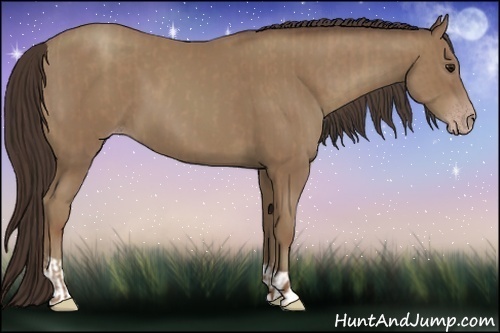 Horse Color:Classic Champagne and Classic Champagne