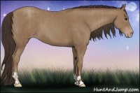 Horse Color:Classic Champagne and Classic Champagne