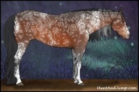 Horse Color:White Spotted Bay Ice 