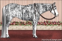 Horse Color:Black Sabino  and Black Sabino 