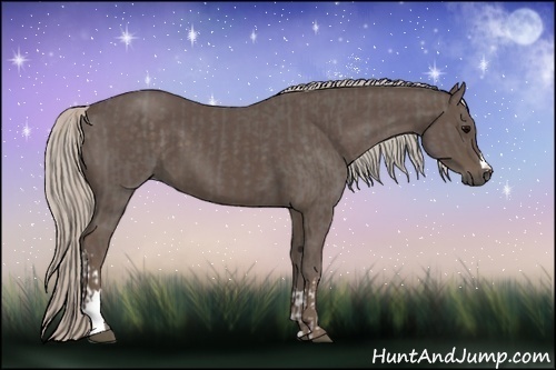 Horse Color:Silver Black  and Silver Black 