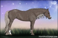 Horse Color:Silver Black and Silver Black