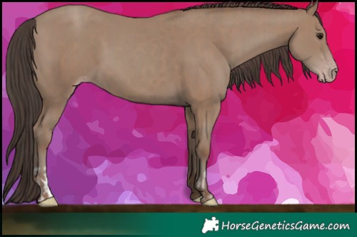Horse Color:Classic Champagne  and Classic Champagne 