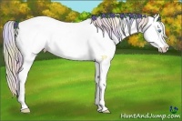 Horse Color:Nacre Chocolate Palomino Pearl Varnish