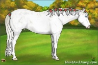 Horse Color:Chocolate Palomino Pearl Sabino 