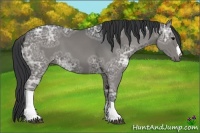 Horse Color:Black Ice 