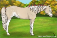 Horse Color:Cremello Sabino 