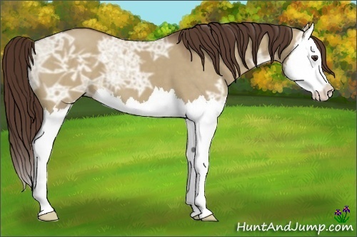 Horse Color:Liver Red Dun Ice Splash