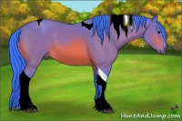 Horse Color:Watercolor Bay Tobiano 