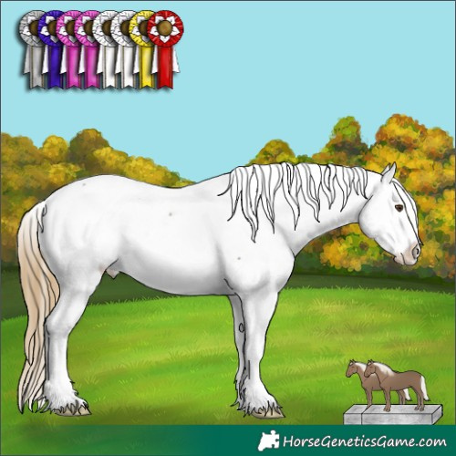 Horse Color:Buckskin Mushroom Snowcap