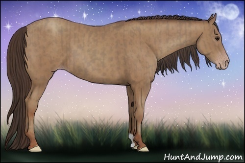 Horse Color:Classic Champagne  and Classic Champagne 