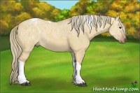 Horse Color:Red Dun Ice Tobiano 