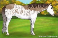 Horse Color:Classic Champagne Splash  and Classic Champagne Splash 