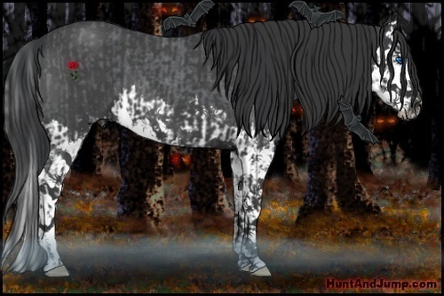 Horse Color:Blue Roan Splash  and Blue Roan Splash 