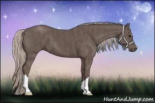 Horse Color:Silver Black  Brindle