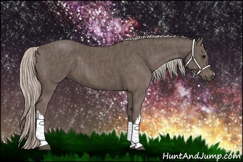 Horse Color:Silver Black Brindle