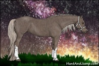 Horse Color:Silver Black  Brindle