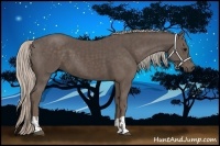 Horse Color:Silver Black and Silver Black