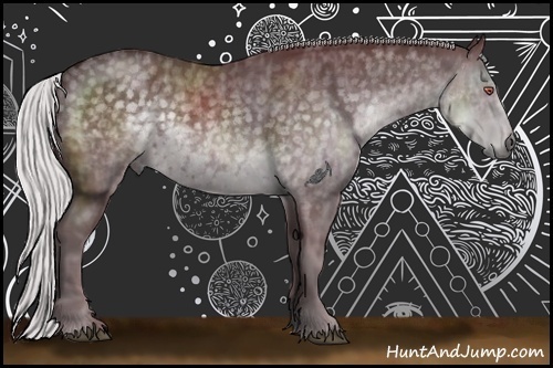 Horse Color:Chocolate Silver Black Chinchilla  Brindle