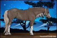 Horse Color:Silver Black  and Silver Black 