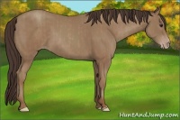 Horse Color:Classic Champagne  and Classic Champagne 