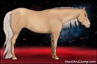 Horse Color:Silver Classic Champagne  Brindle