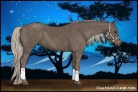 Horse Color:Silver Black Brindle