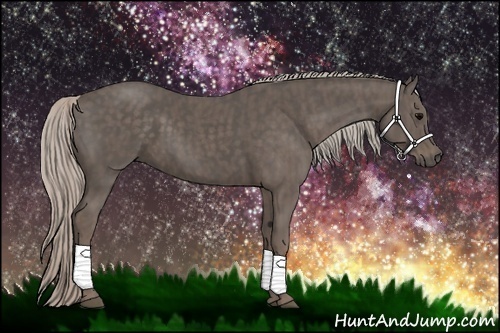 Horse Color:Silver Black Brindle