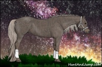Horse Color:Silver Black  Brindle
