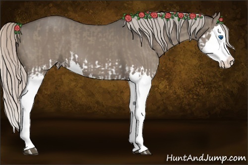 Horse Color:Silver Grullo Splash  and Silver Grullo Splash 