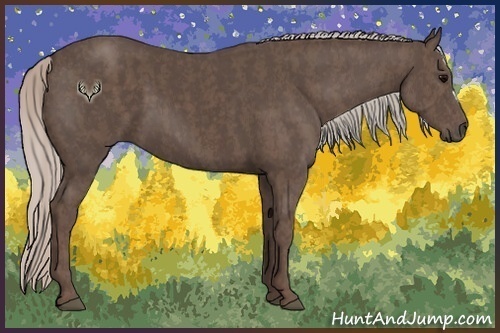Horse Color:Silver Black  Brindle