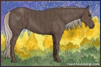 Horse Color:Silver Black Brindle