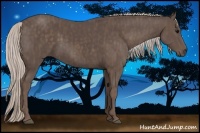 Horse Color:Silver Black Brindle