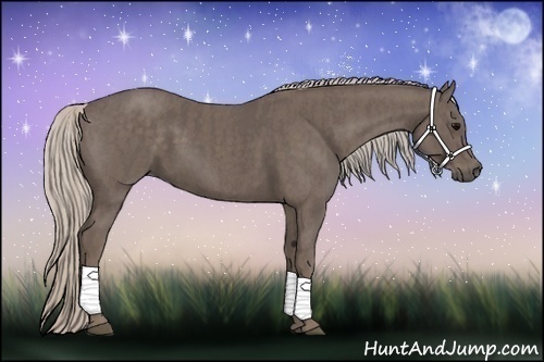 Horse Color:Silver Black  Brindle