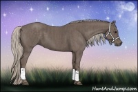 Horse Color:Silver Black Brindle