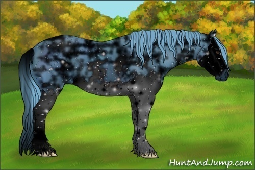 Horse Color:ERROR: UNKNOWN ANOMALY